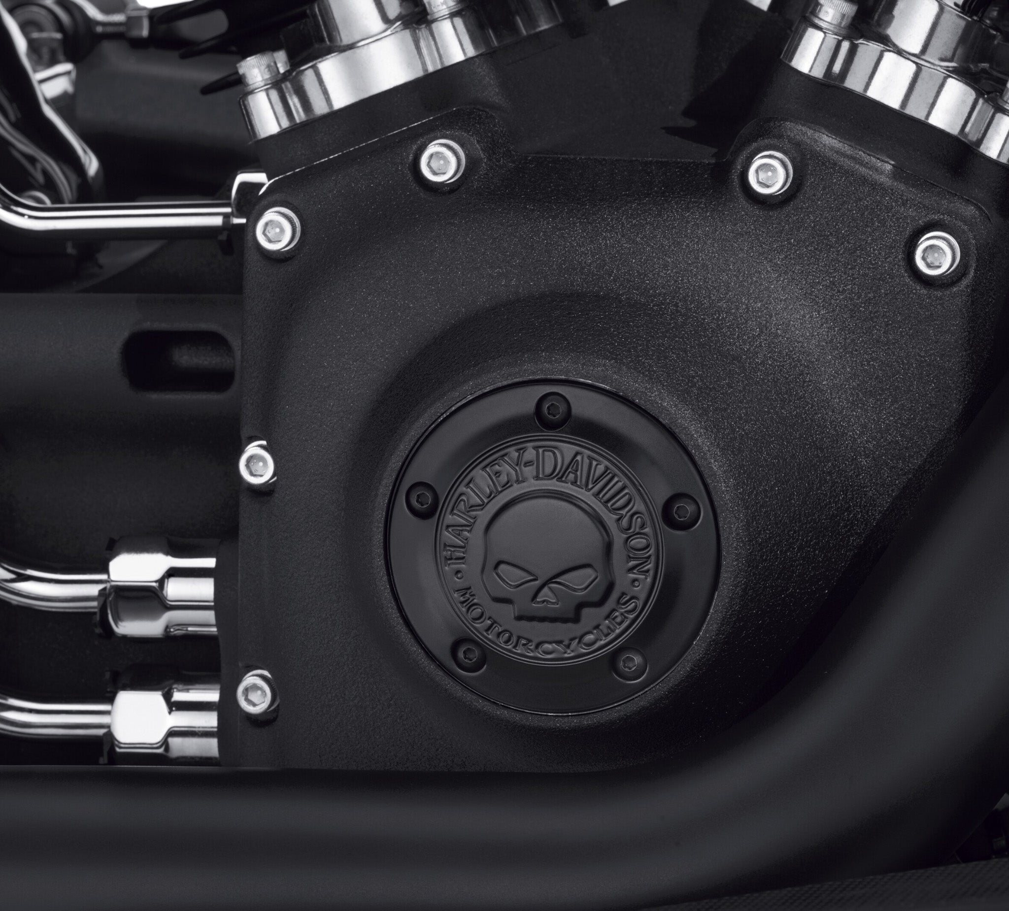 Willie G Skull Timer Cover