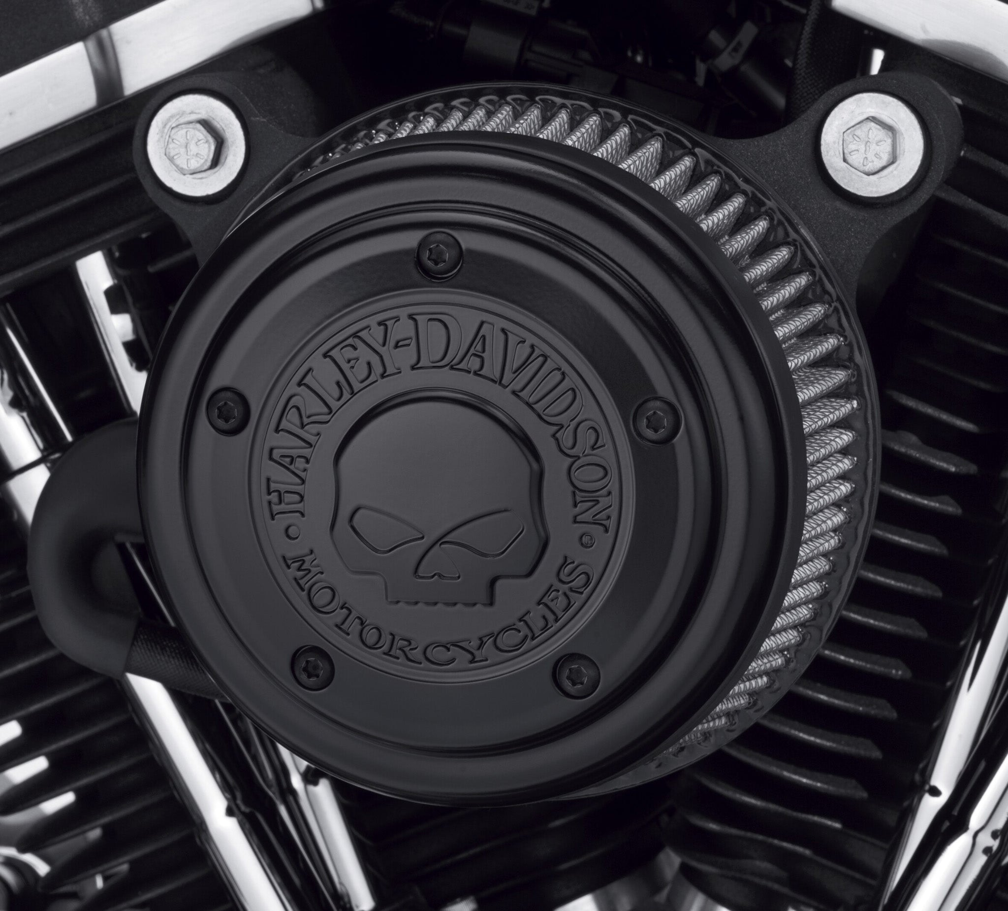 Willie G Skull Air Cleaner Trim