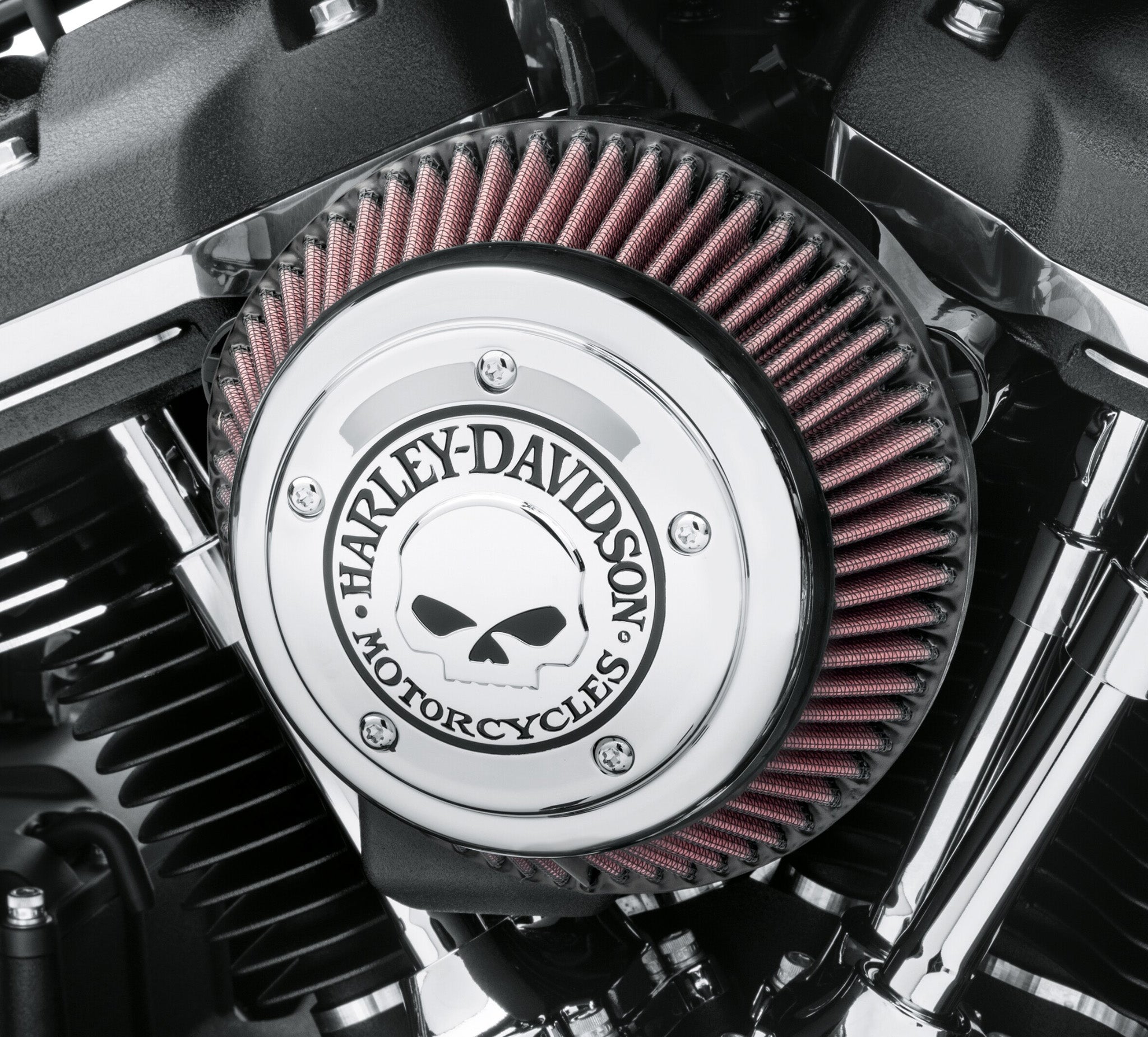 Willie G Skull Air Cleaner Trim