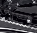 Black Heel Shifter
