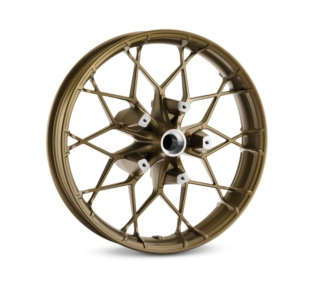 H-D Prodigy 19 in. Front Wheel