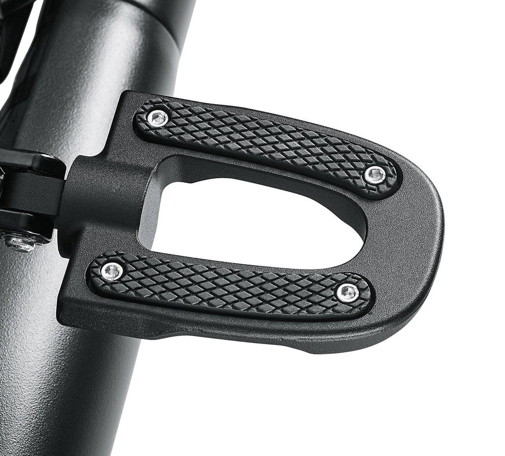 Endgame Footpegs