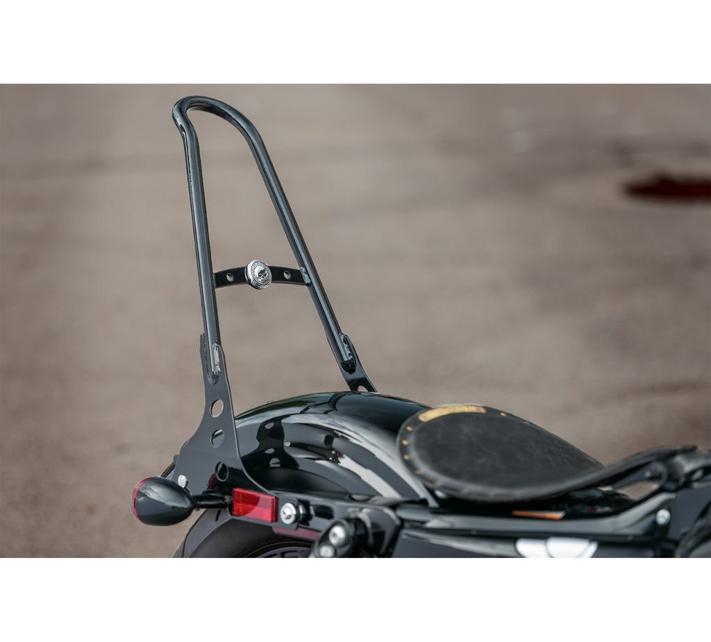 One-Piece H-D Detachables Sissy Bar Upright
