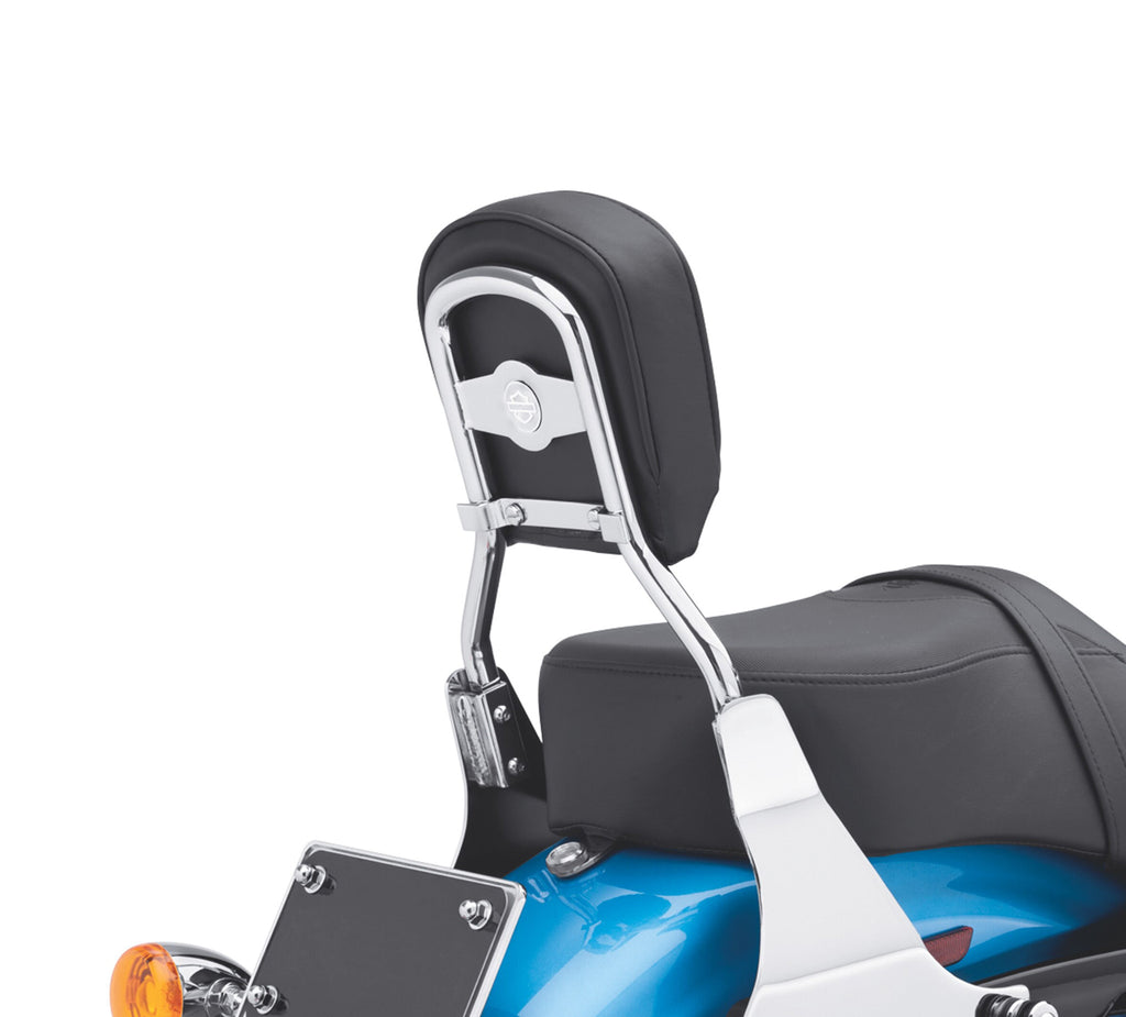 Low Mini-Medallion Style Sissy Bar Upright