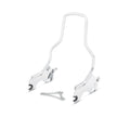 HoldFast Sissy Bar Upright - Standard Height - Chrome