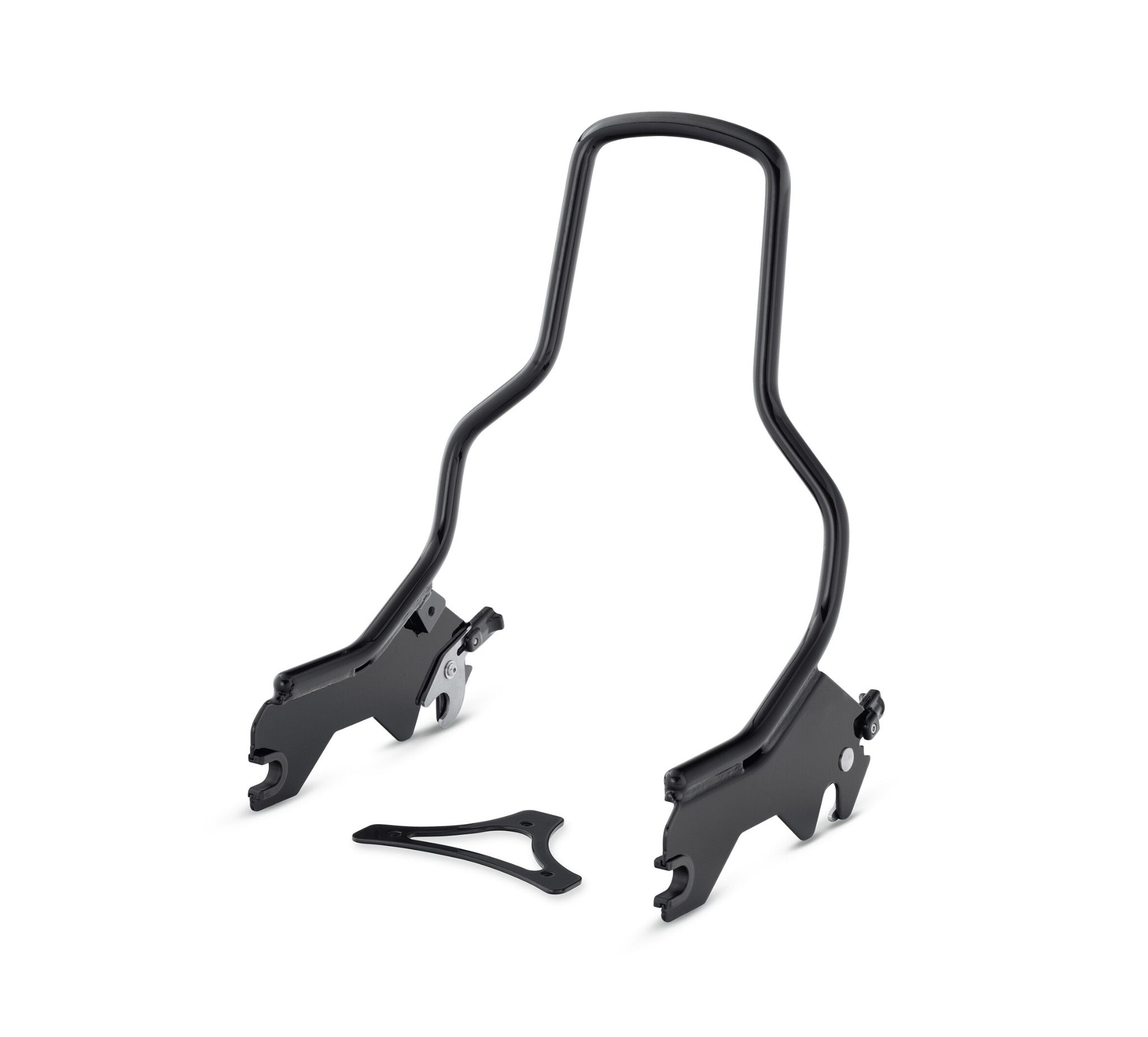 HoldFast Sissy Bar Upright - Standard Height - Gloss Black