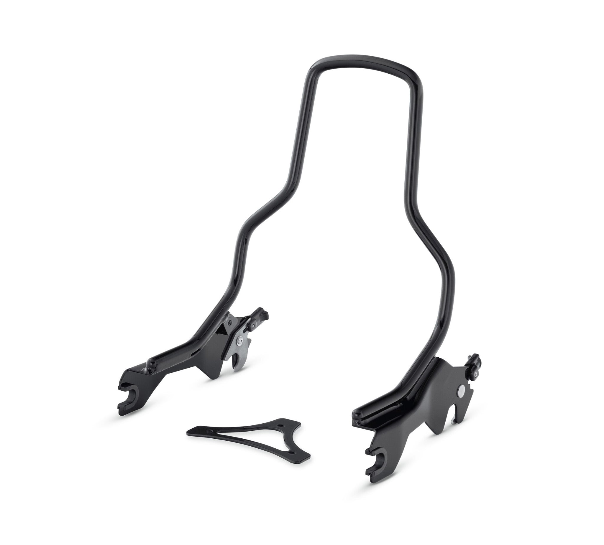 HoldFast Sissy Bar Upright - Standard Height - Gloss Black