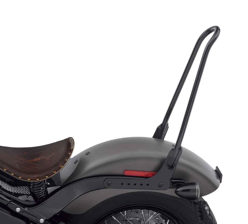 One-Piece Tall Rigid Mount Sissy Bar