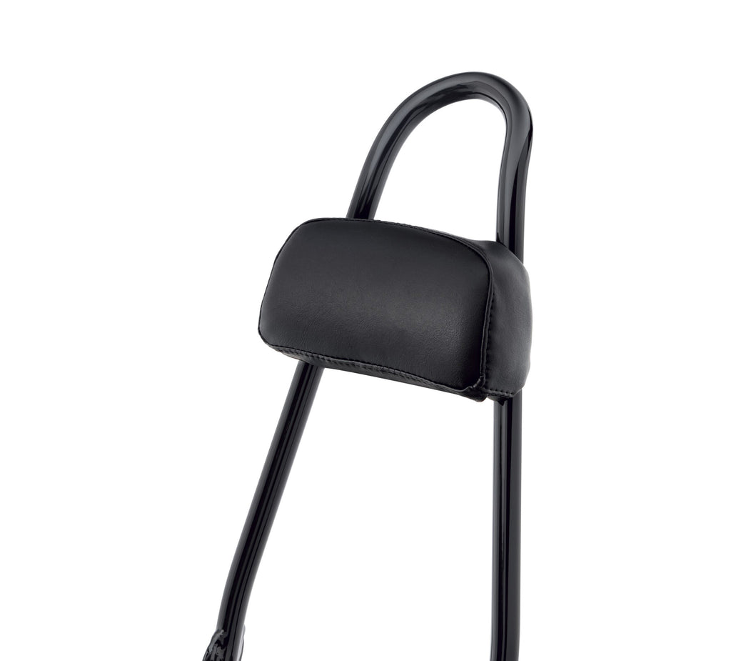 Passenger Backrest Pad