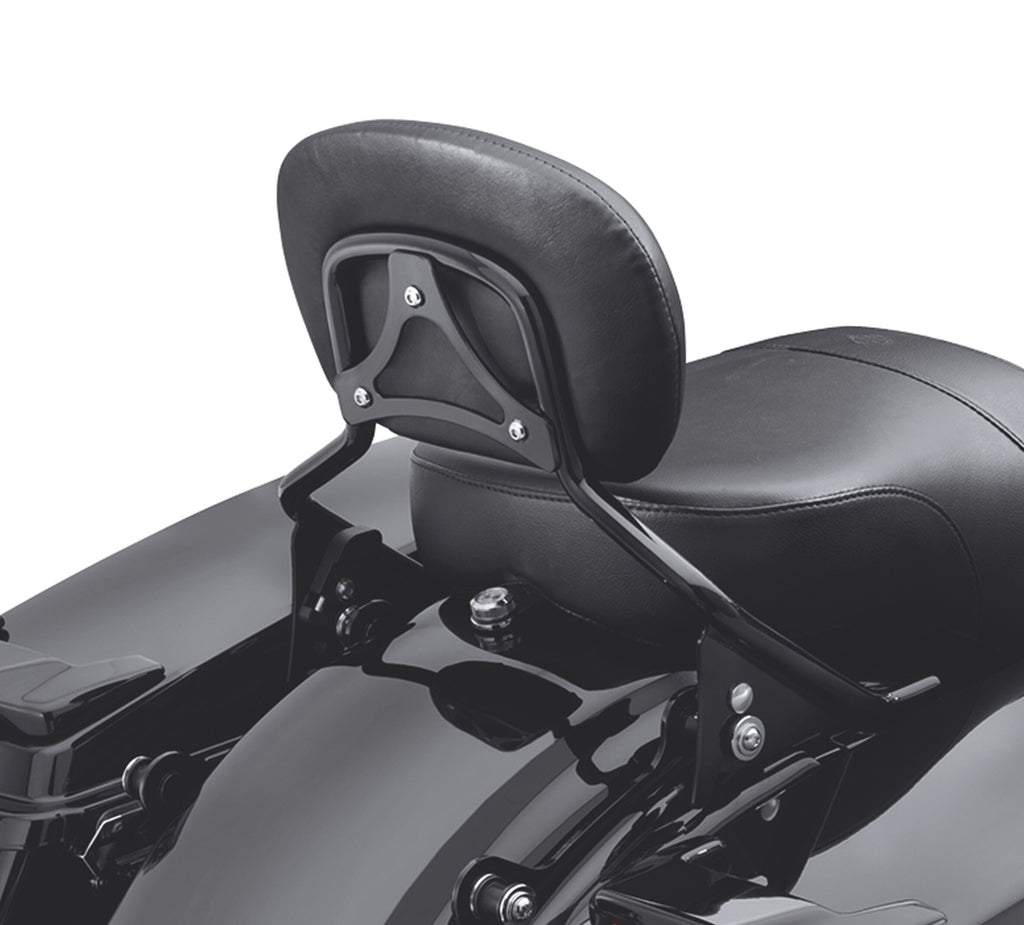 H-D Detachables Sissy Bar Upright
