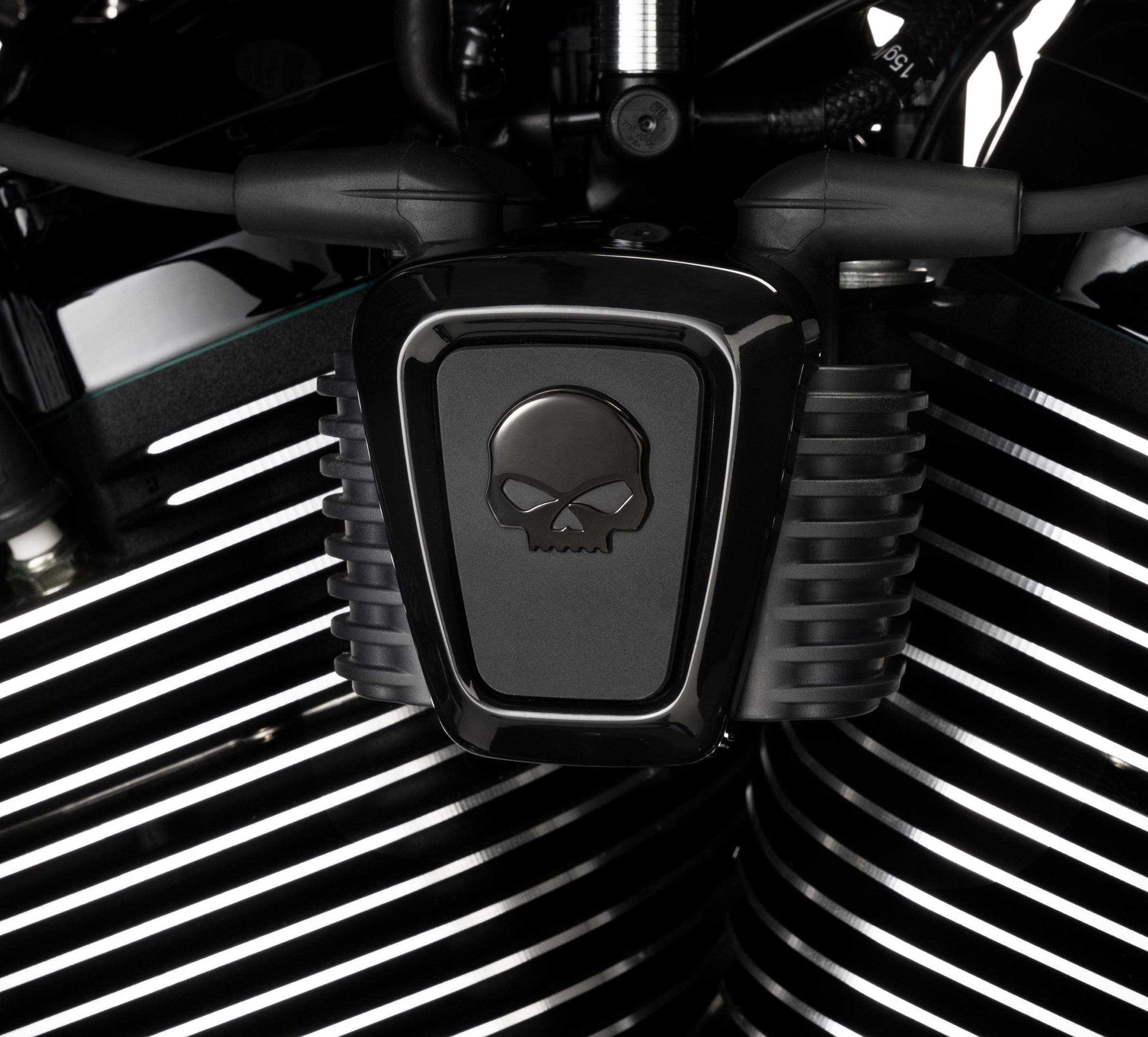Willie G Skull Coil Cover