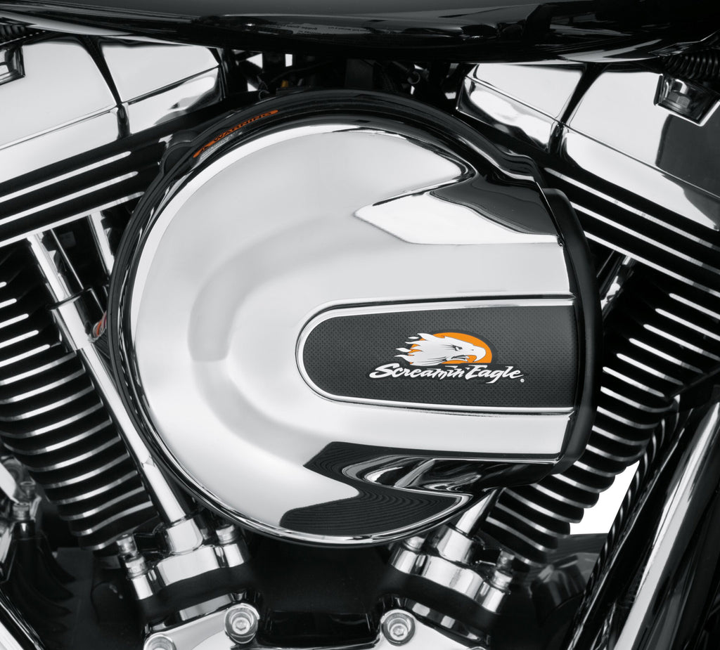 Screamin' Eagle Air Cleaner Insert