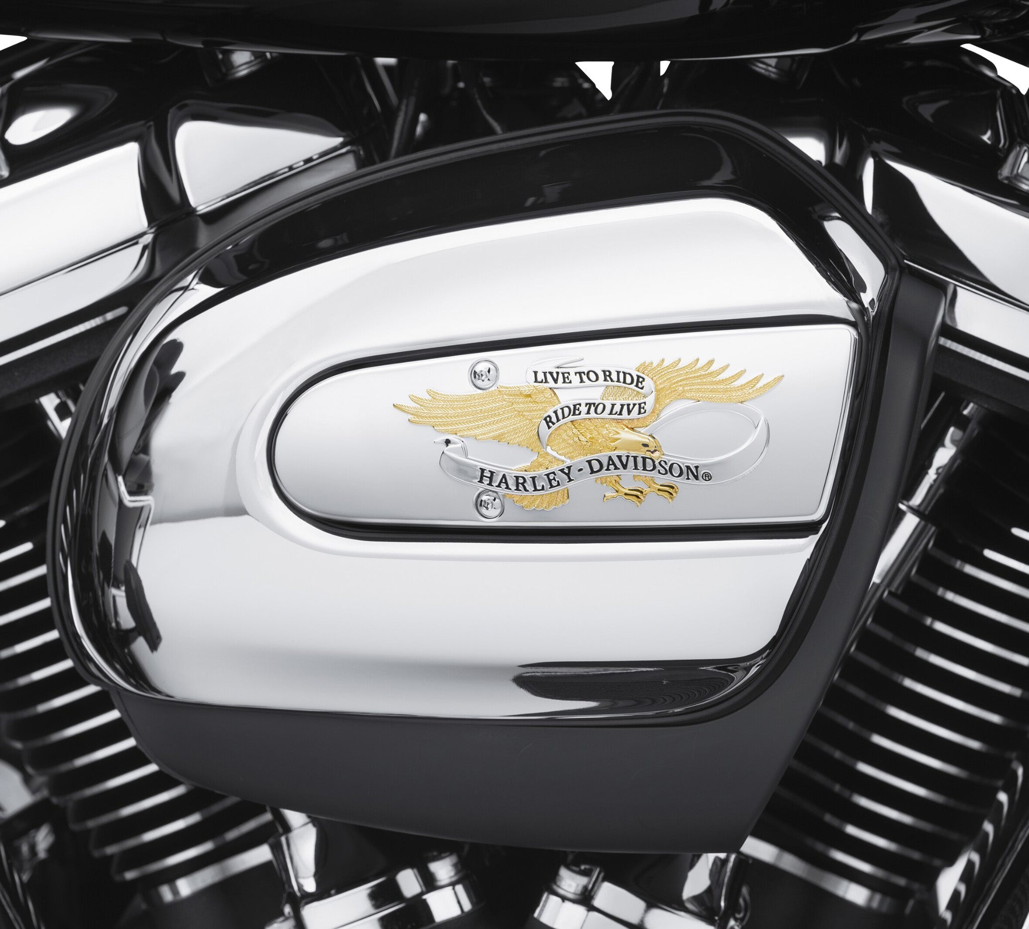 Live To Ride Air Cleaner Trim