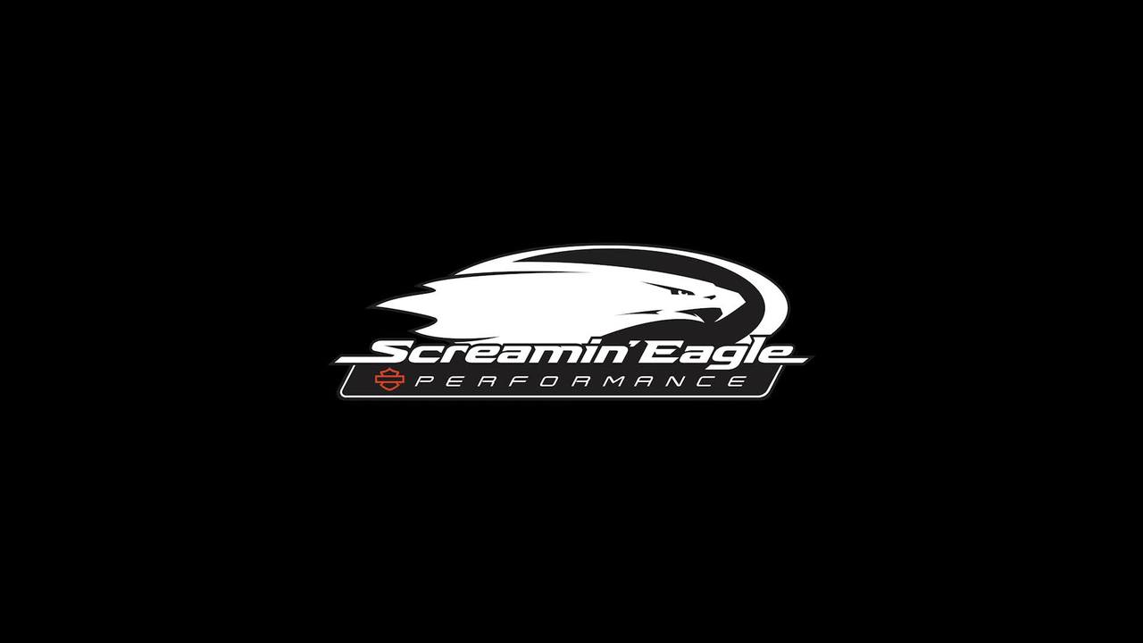 Screamin' Eagle Street Cannon Muffler