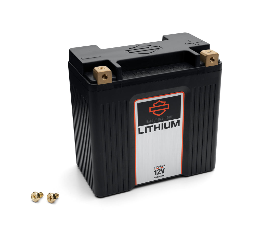 Lithium LiFe 4Ah Battery