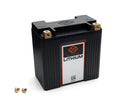 Lithium LiFe 4Ah Battery