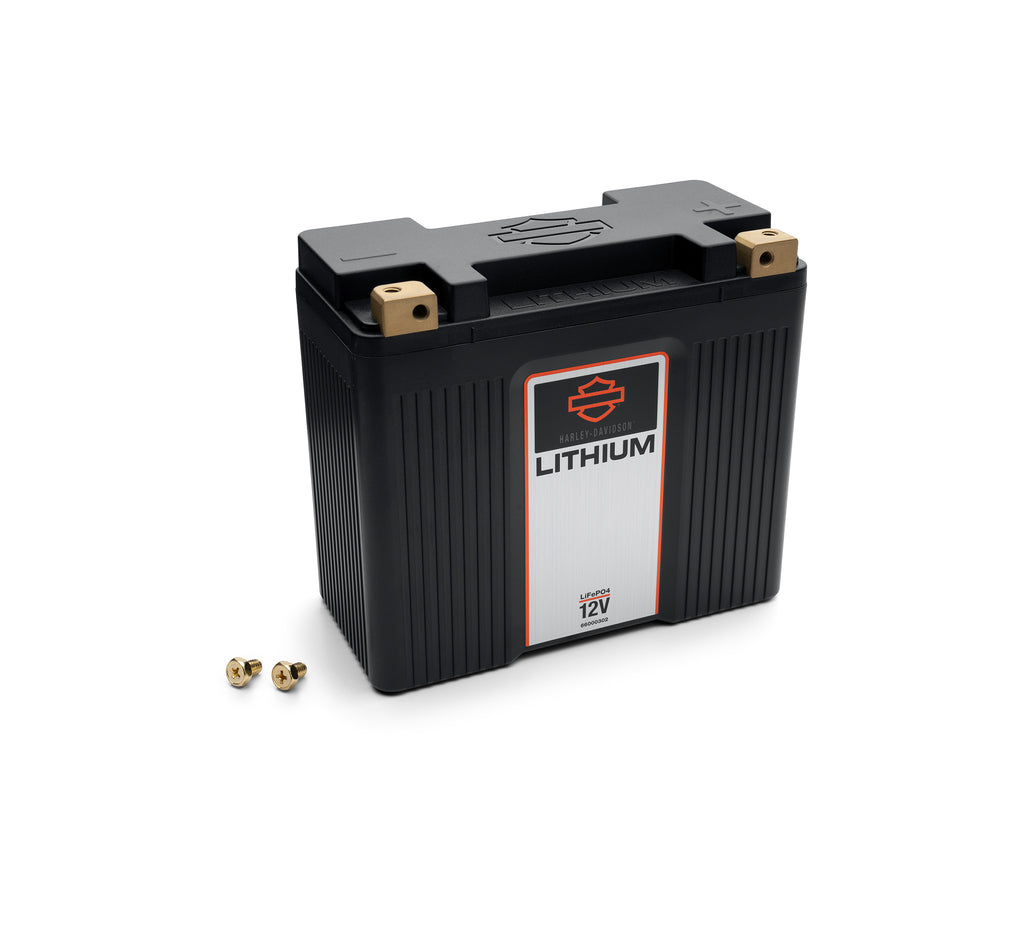 Lithium LiFe 7Ah Battery