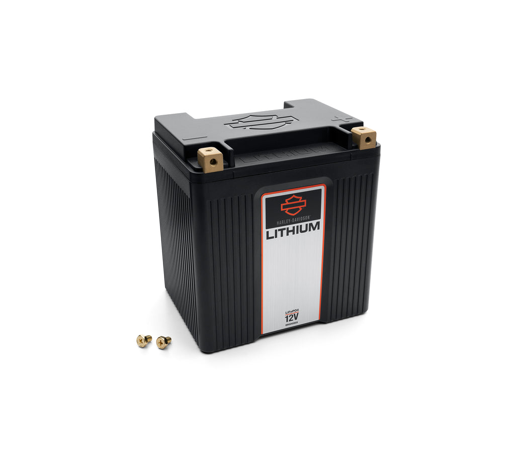 Lithium LiFe 8Ah Battery