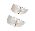 Eagle Wing Passing Lamp Visors