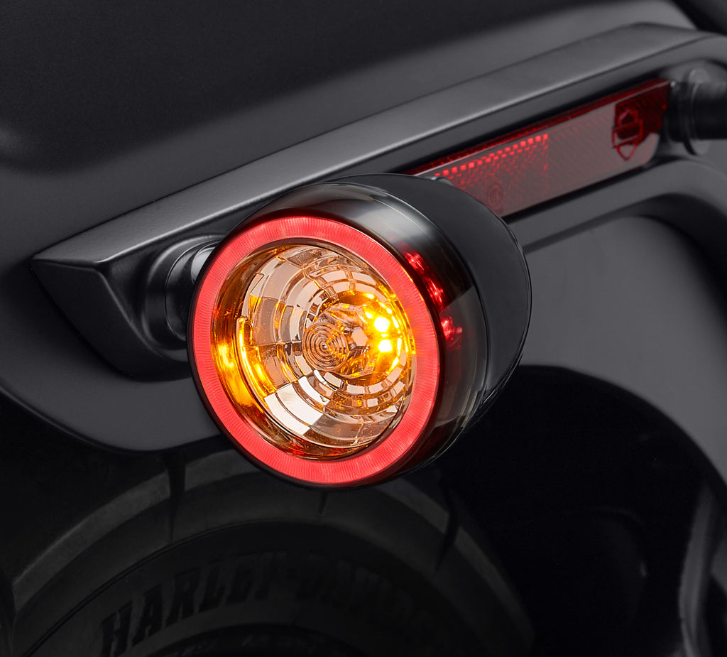 Rear Signature LED Turn Signal Assembly