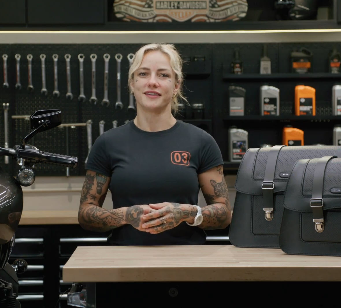 H-D Detachables Saddlebags