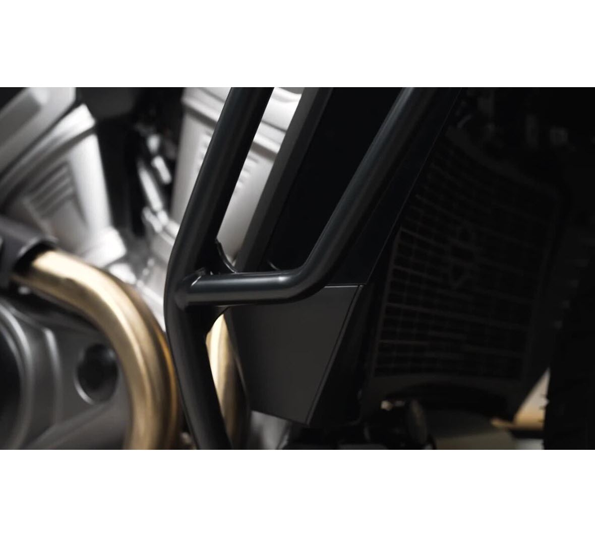 Radiator Shield