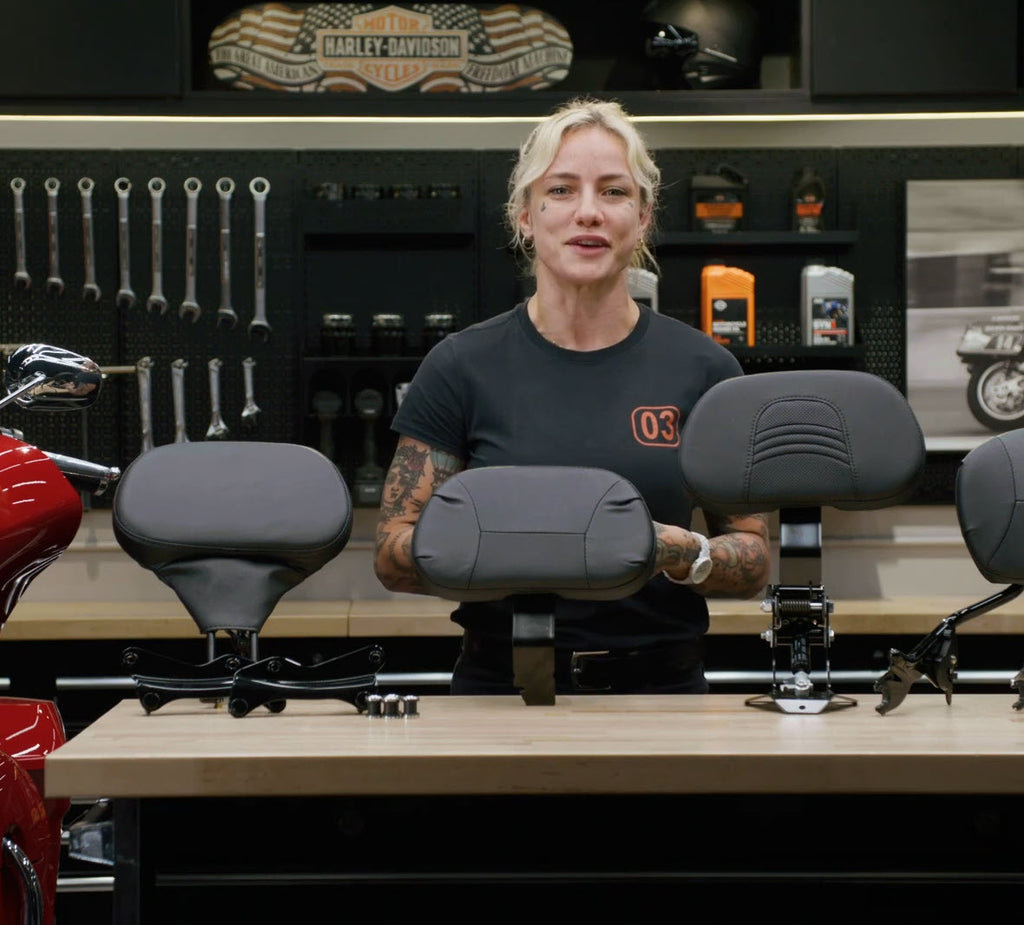 Premium H-D Detachables Backrest with Adjustable Recline