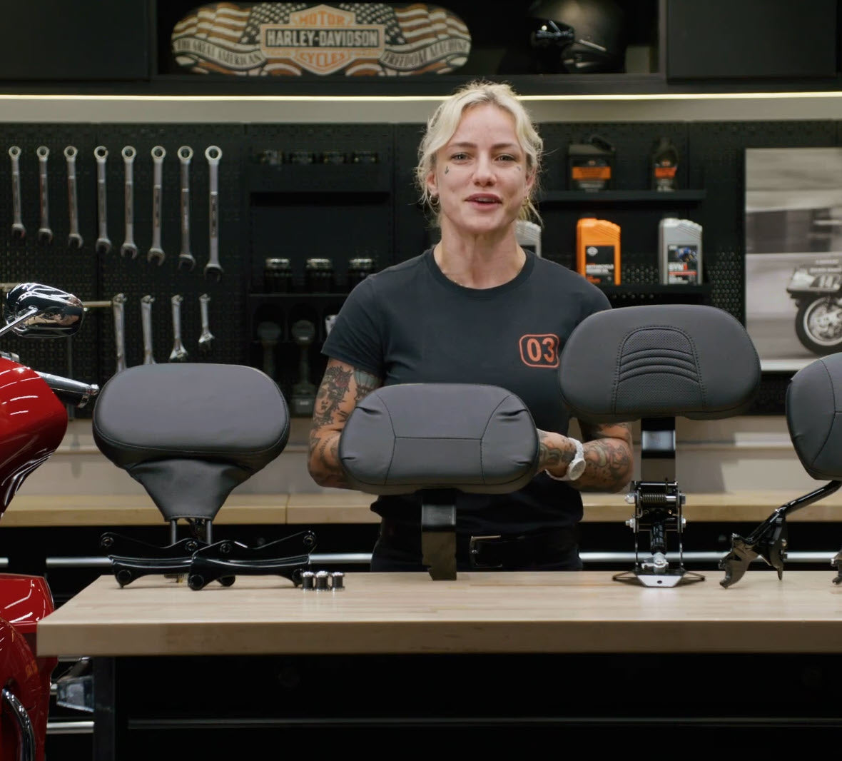 Premium H-D Detachables Backrest with Adjustable Recline